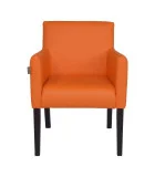 Armchair Austin, upholstery Fly 2218 order